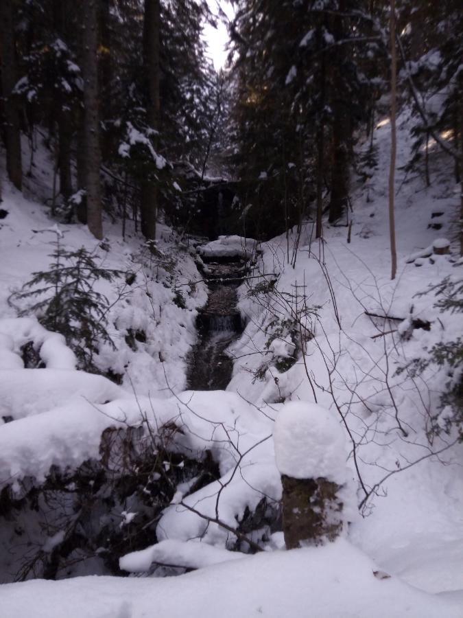 Goscinne Celina I Waldemar Szwala Homestay Wierchomla Mala