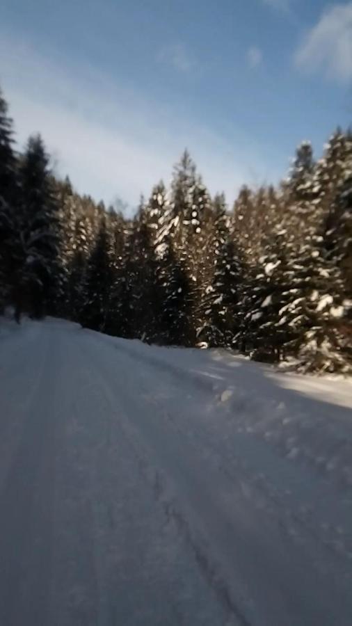 Goscinne Celina I Waldemar Szwala Wierchomla Mala